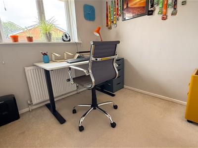 Picture 15